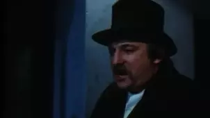 Austrian adult film actress Josefine Mutzenbacher's career highlights