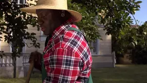 Straight from the forest Hungarian beauty Melanie Memphis gets her BBC desires fulfilled